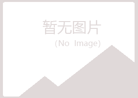 乌海乌达紫山采矿有限公司